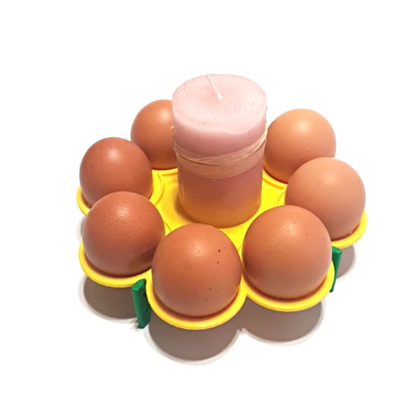 Поставка за яйца - Image 2